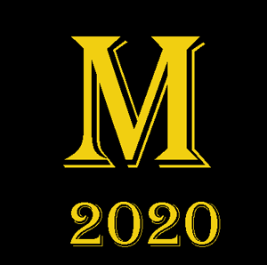 2020 Diary Button